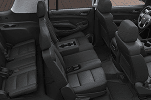 allactionlimosuine_suberbun-int