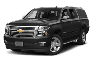 allactionlimosuine_suberbun